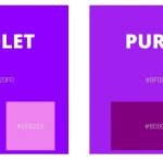 Violet vs Purple: The Difference You Should Know