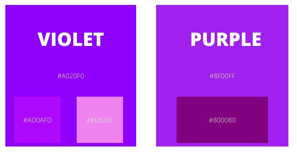 violet vs purple