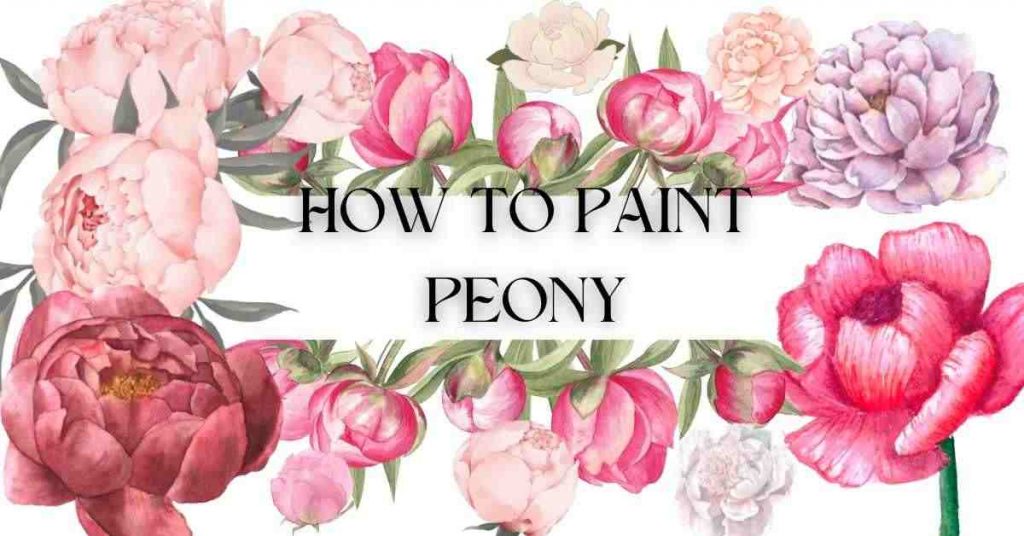 how to paint peony