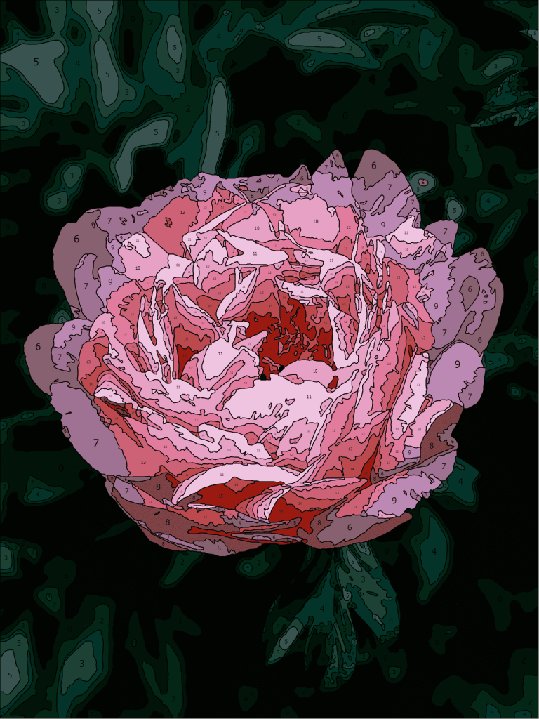 Paint by numbers peony
