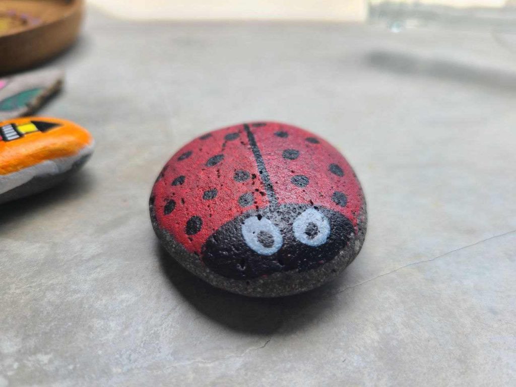 Smooth rocks for painting: Buy Rocks, Smooth rocks & Paintable rocks at  Artistro