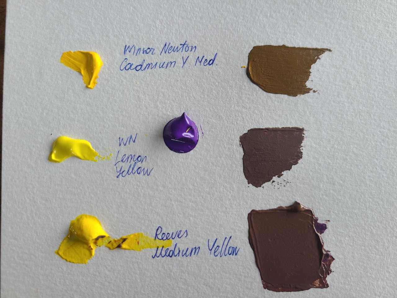 Mix of Yellow and Purple: What These 2 Colors Make? Surprising results ...