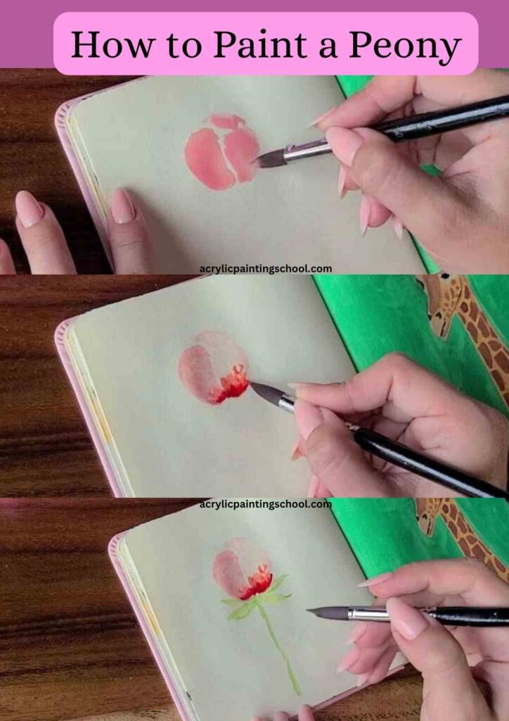how to paint peony