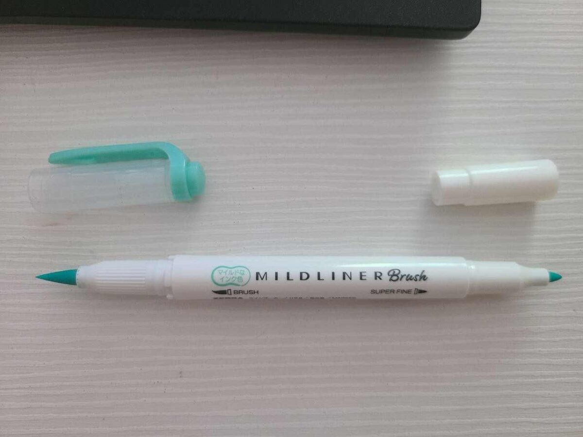 Zebra Mildliner Brush Pen Review My Fav Pen For Doodles Acrylic