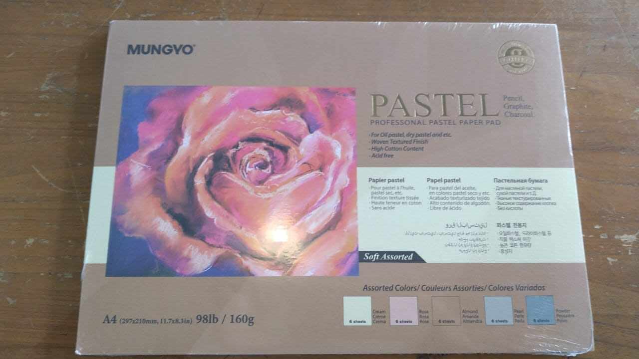 mungyo pastel paper 