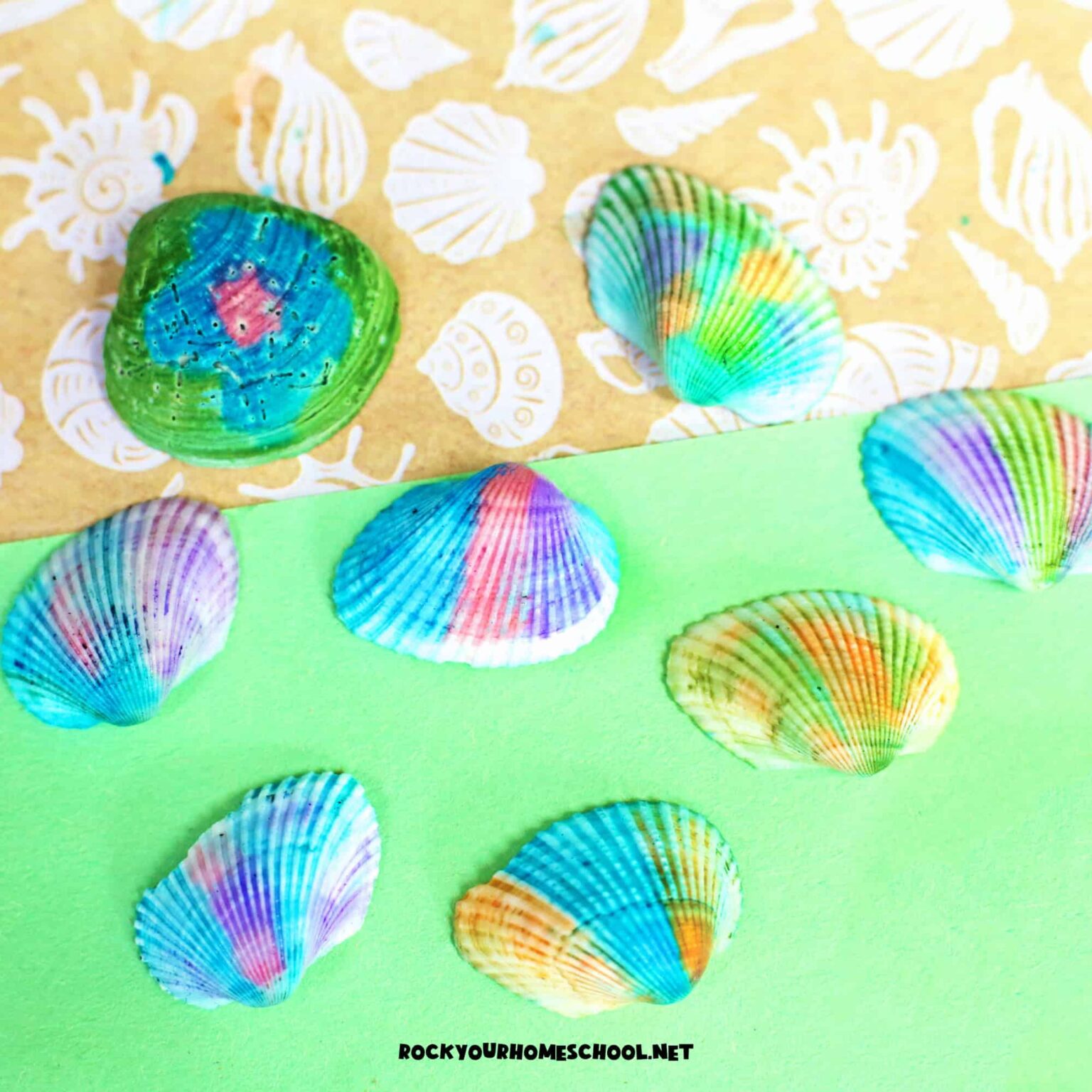 25+ Seashell Crafts For Kids Using Real Shells | Acrylic Painting School